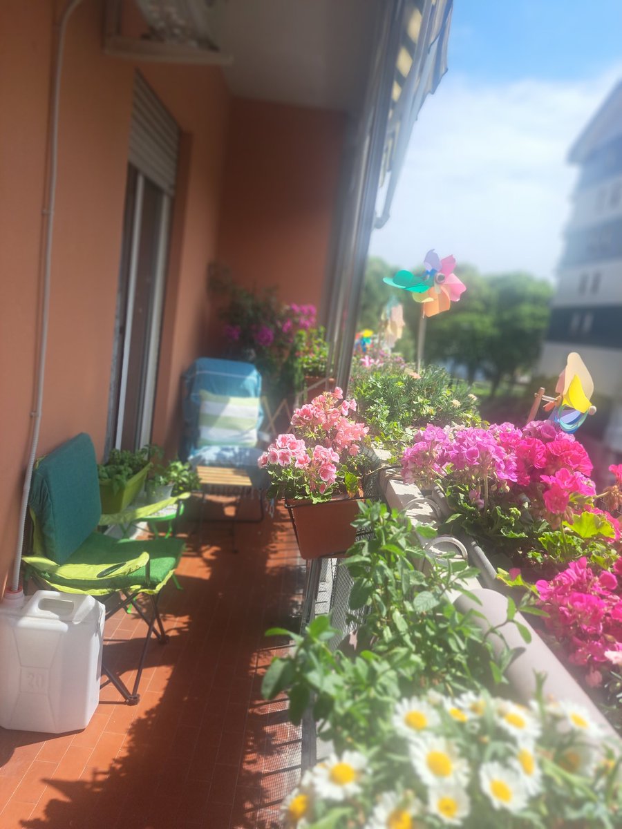 Buffycord's tweet image. #una bella giornata 🌱🌷🍀🌹🌿🌺