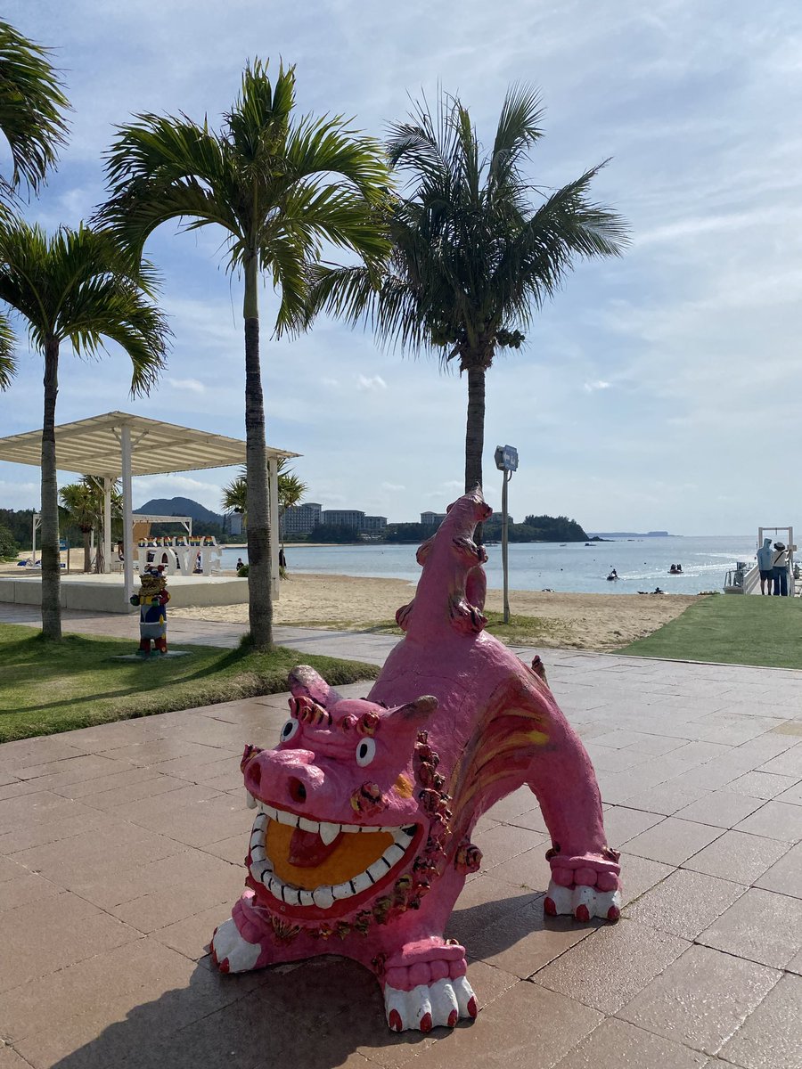 ぴろぴろ 明日も泳げますように🙏🏝️ #ヒロチ家2026