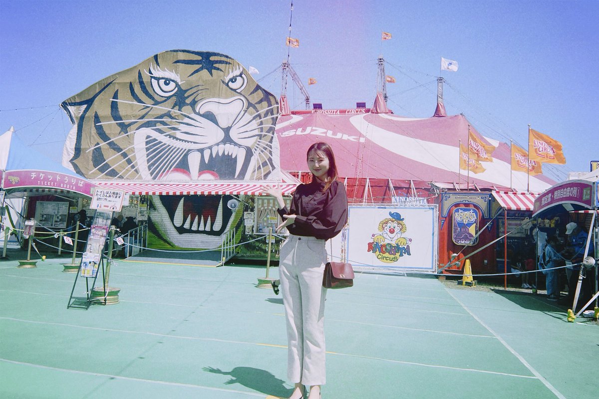 ____yuhiiii's tweet photo. 木下大サーカスに行ってきました🎪
圧巻の一言に尽きます…！
とても勉強になりました！！！
エンターテイメントってやっぱり素敵。
　
#木下大サーカス https://t.co/8tIJOn7LUS