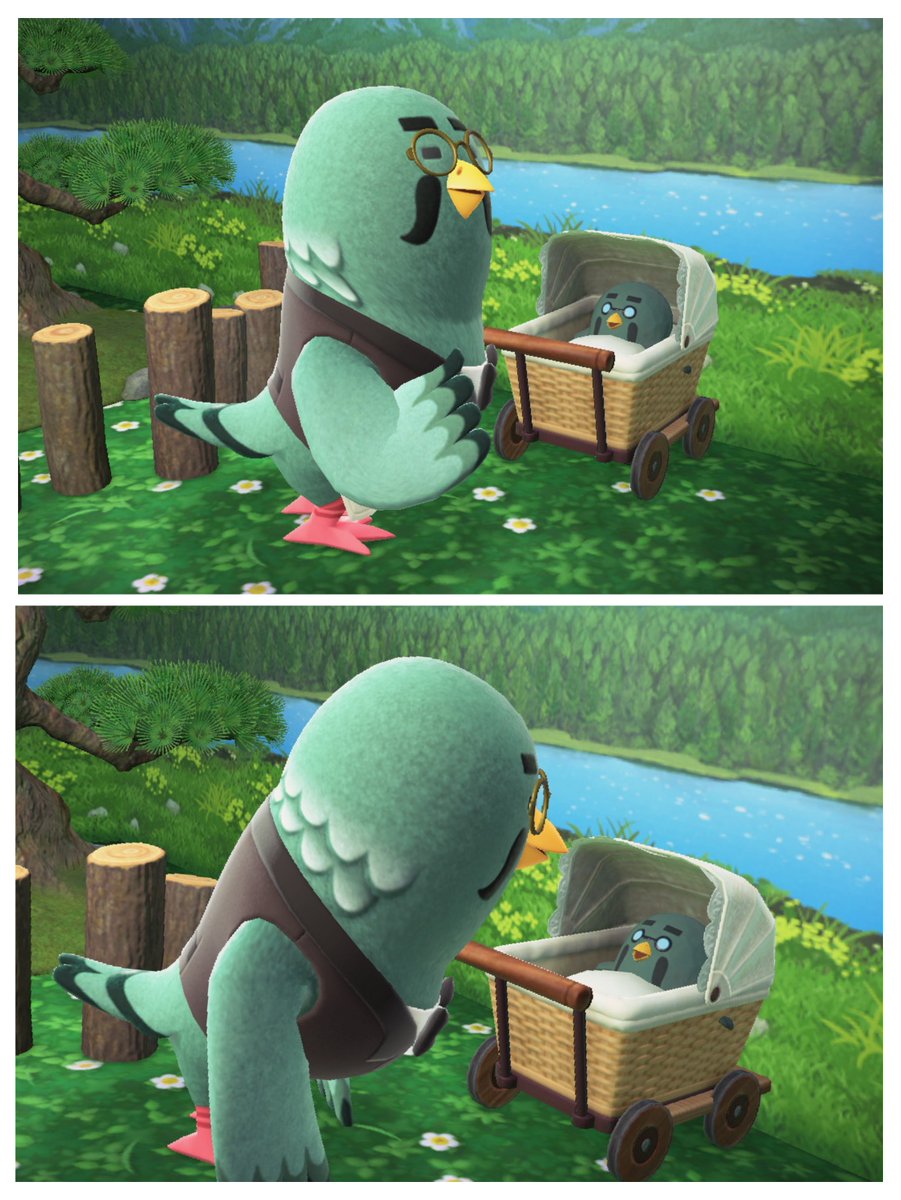 アネキ tweet media
