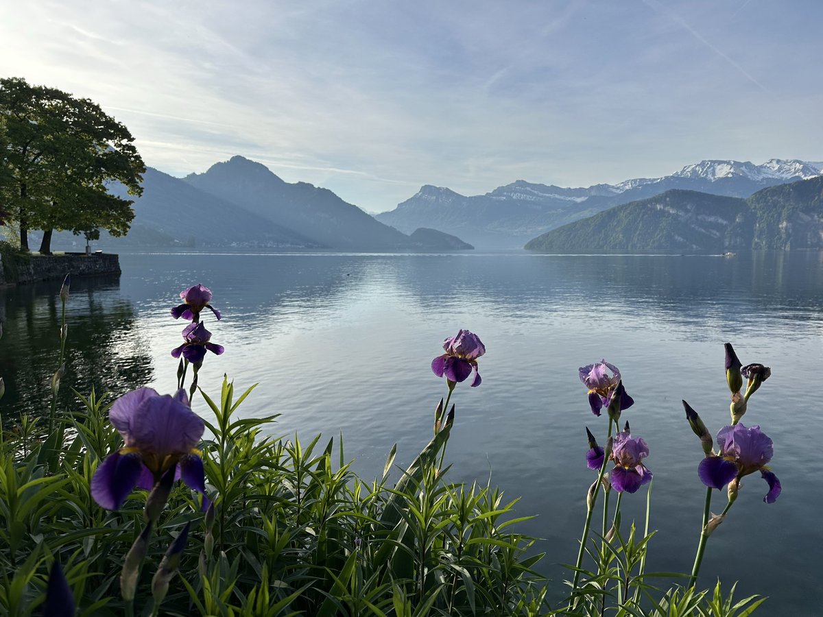 sofiehofmann's tweet image. Good Morning! 🌞 Simple Breakfast at Dahinden, Weggis, Switzerland 🇨🇭 

#switzerland #weggis #dahinden 

©SofieHofmann.com 
26050206074953075151