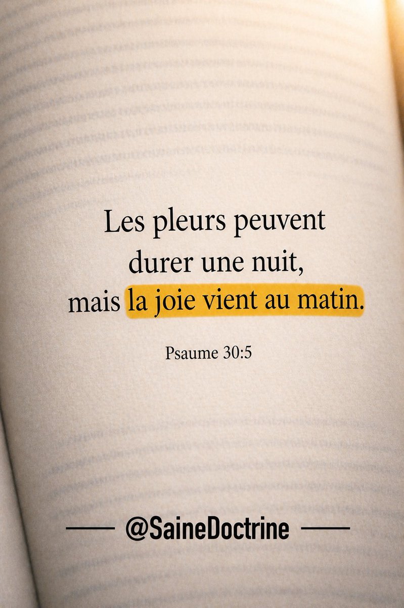 La Saine Doctrine tweet media
