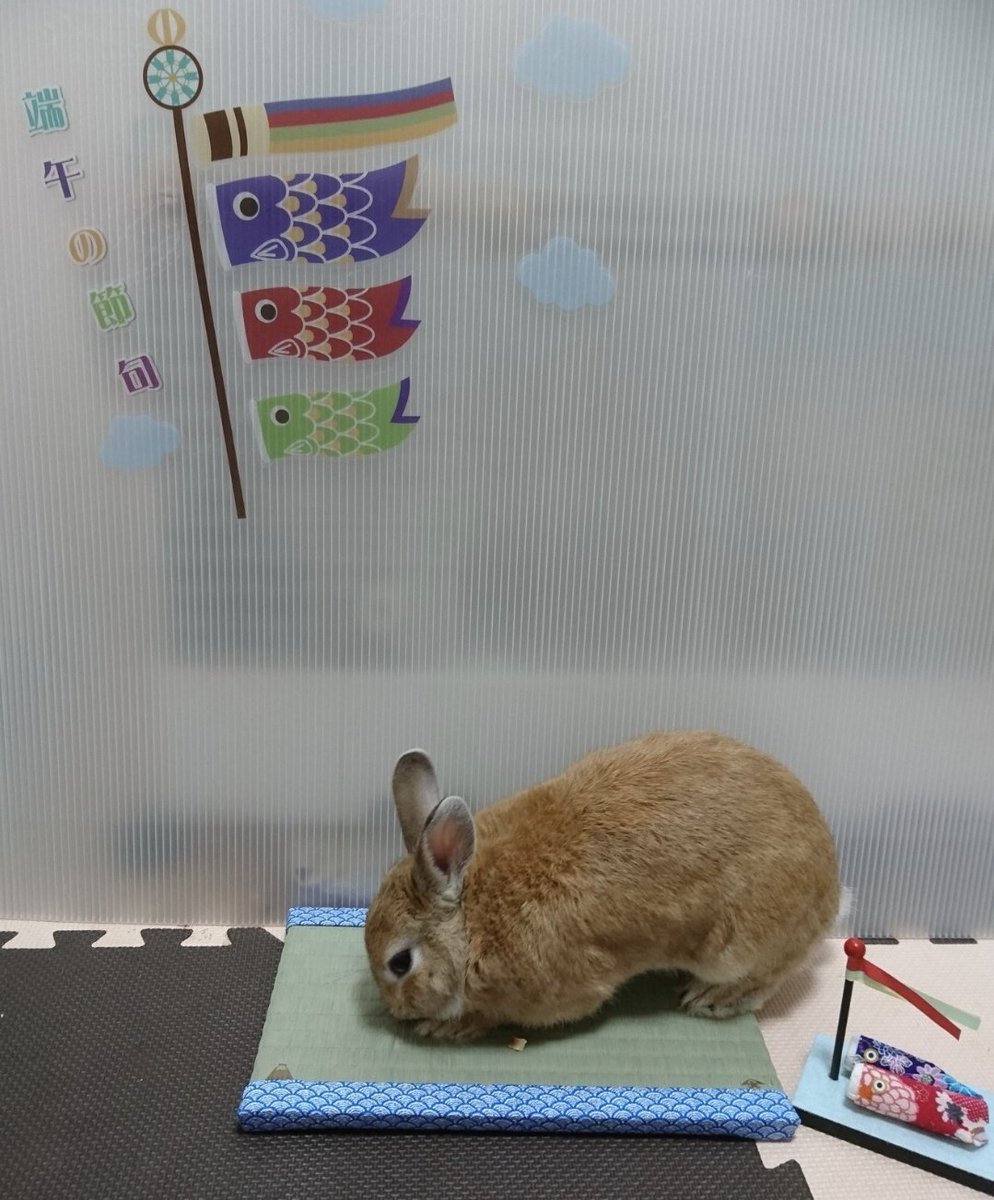 simon_ママモン tweet media