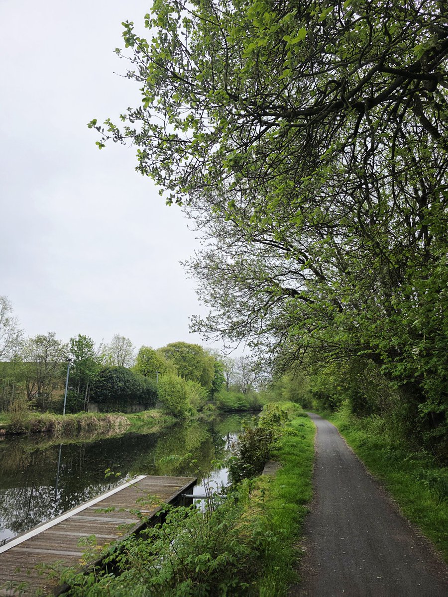CraigRGNDem's tweet image. Good comfortable HM run this morning. 🏃🏻‍♂️🙂

#HalfMarathon #Running #Strava #Glasgow @UKRunChat #ComfortableRun