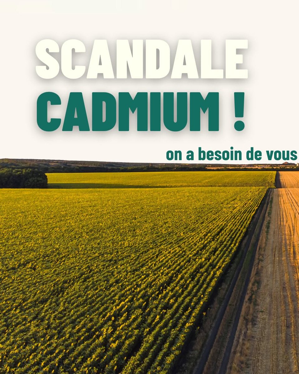 Clémentine Autain tweet media