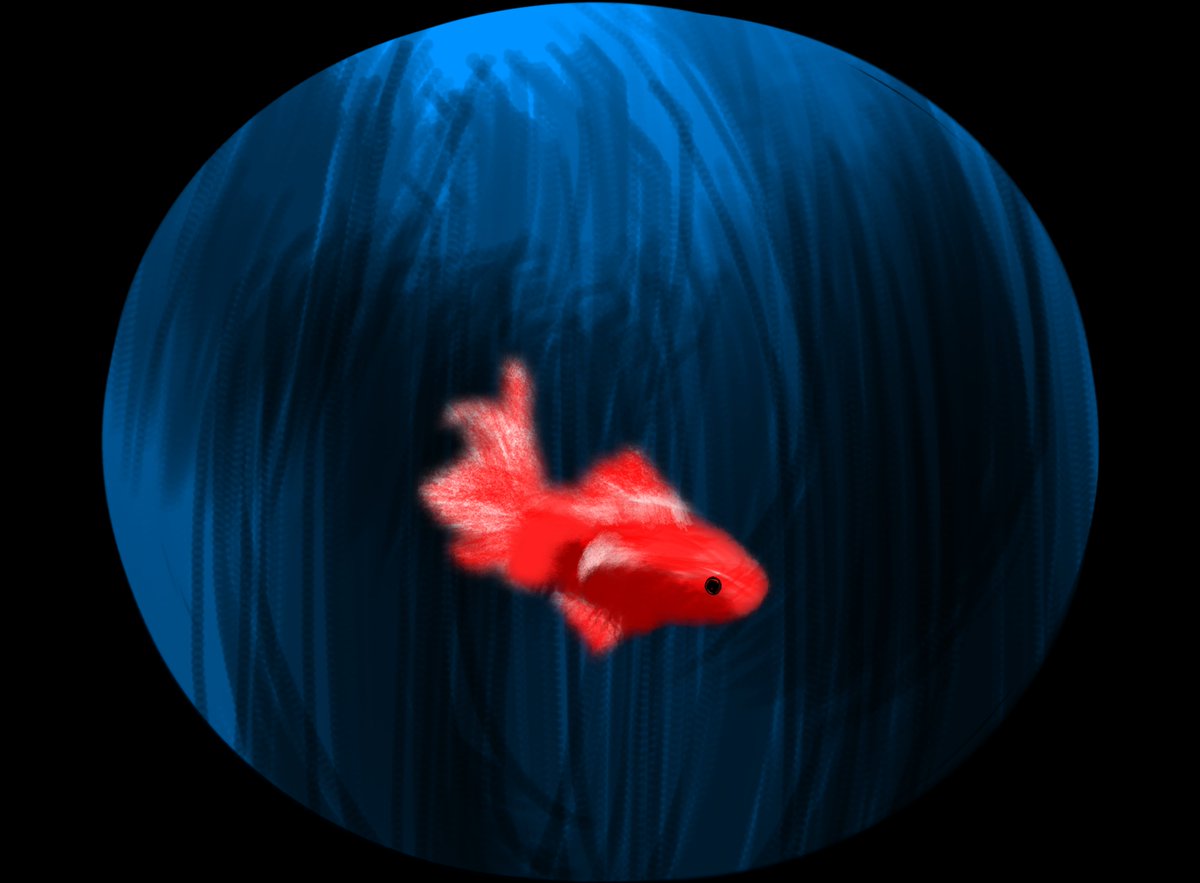 snew362175's tweet image. #bachiart #fish #fih