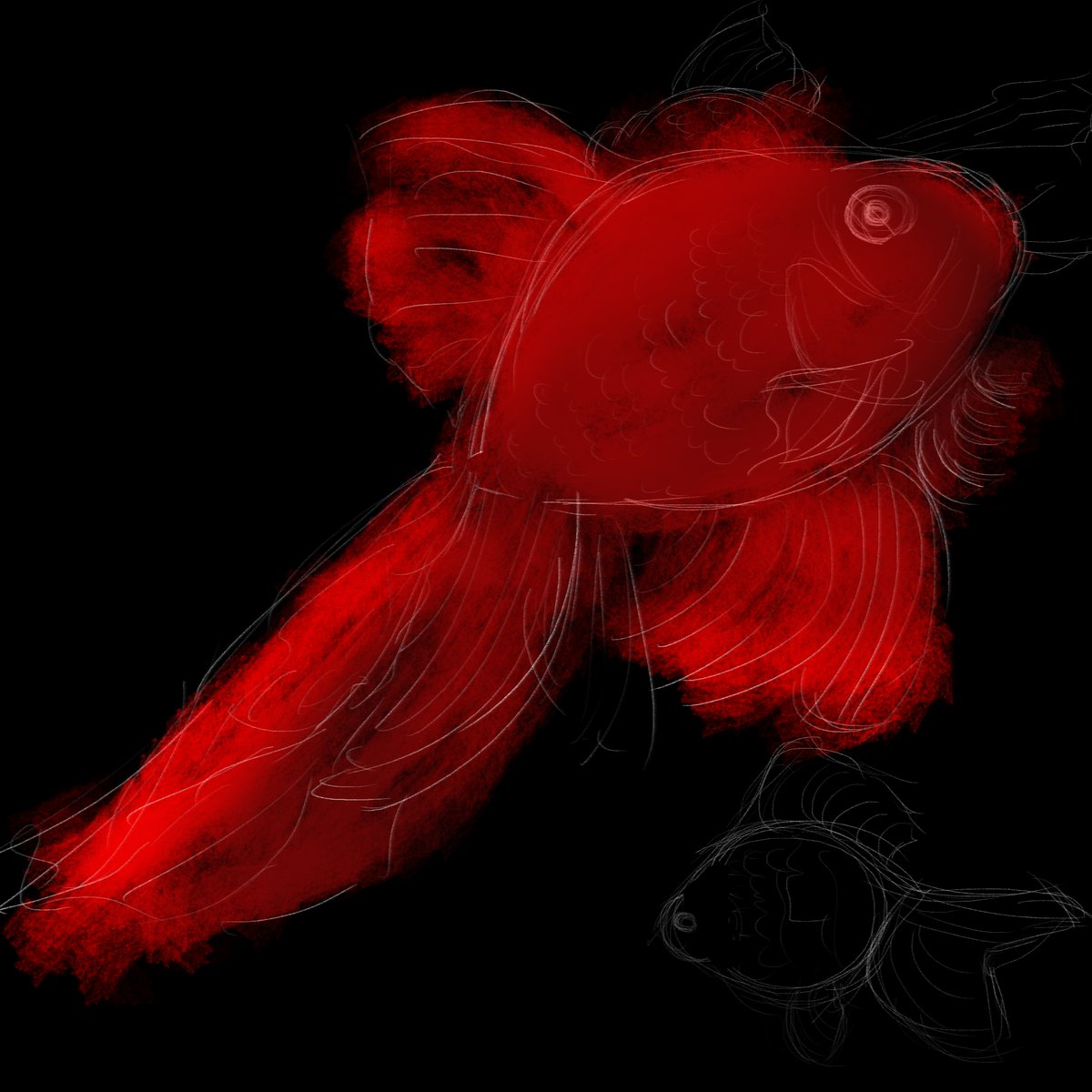 snew362175's tweet image. #bachiart #fish #fih