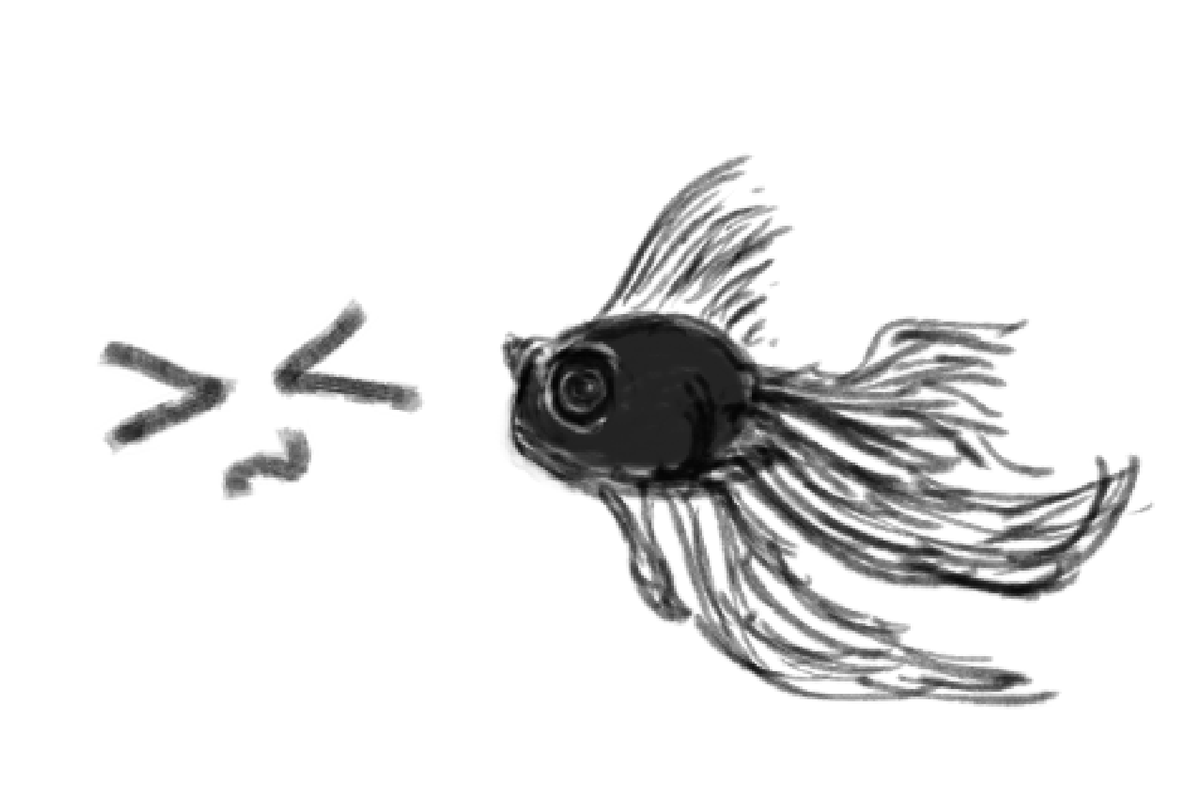 snew362175's tweet image. #bachiart #fish #fih