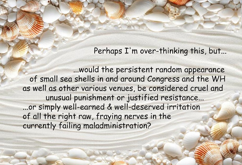 GreyHawk121's tweet photo. So, little sea shells showing up on side tables, desks, perhaps floorspace...just enough, just often enough, and in just enough of the right areas, that it would be intensely irritating to those who have decided to give weight to all things sea-shelly...? https://t.co/AExeMH4FQn