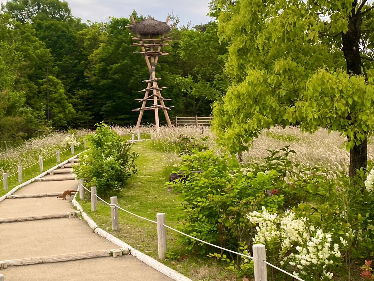 ジブリパーク GHIBLI PARK tweet media