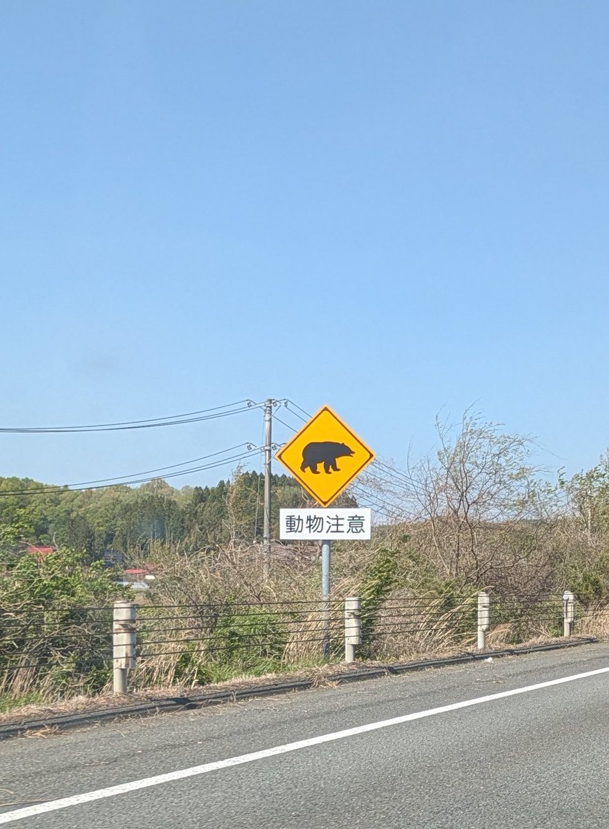 ゆうきまま tweet media