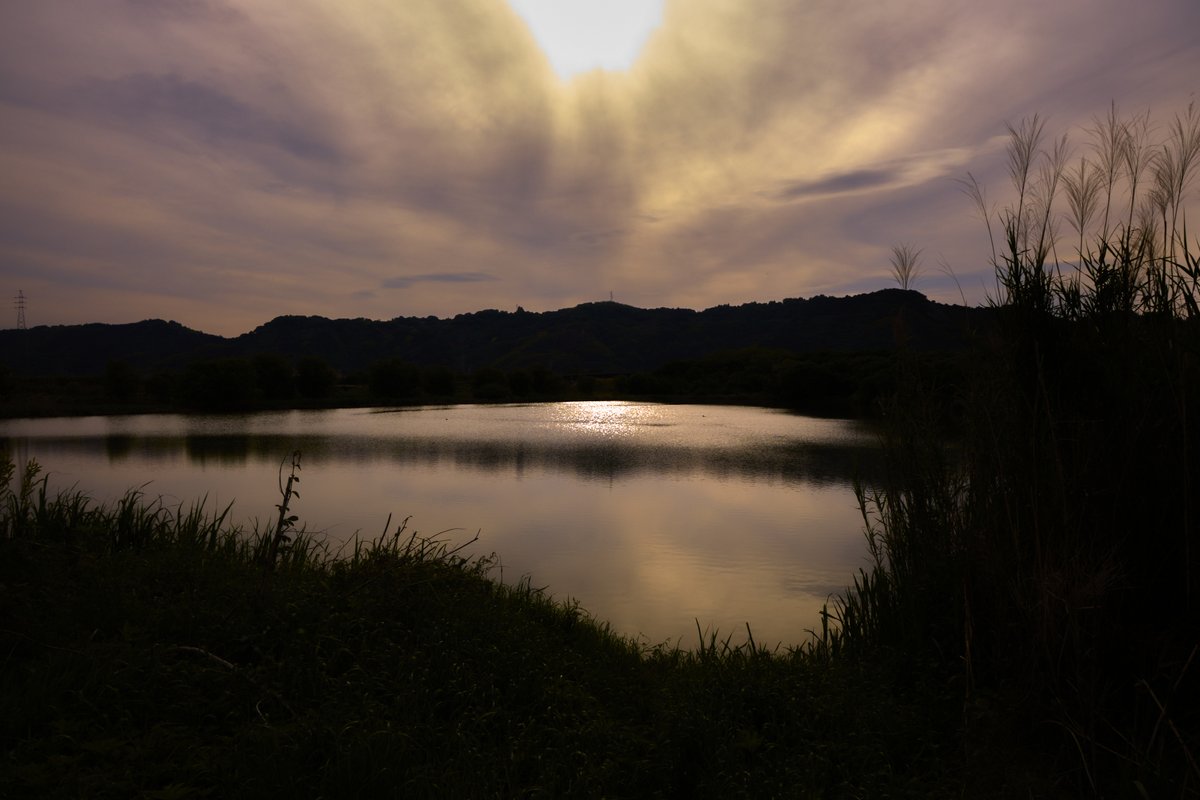 Hiroyuki__Inoue's tweet image. #photo