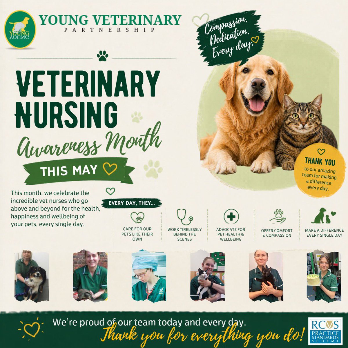 young veterinary tweet media