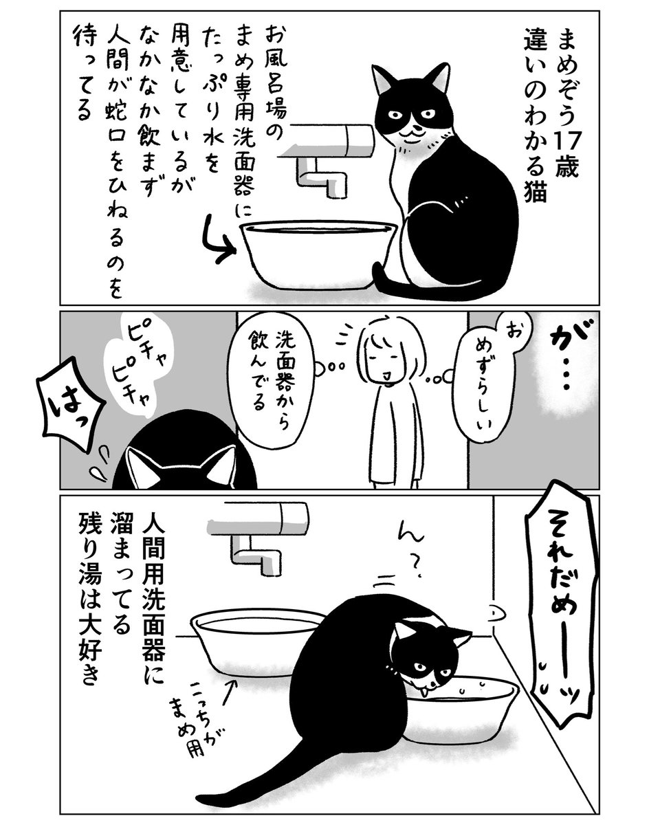 永田ゆき tweet media