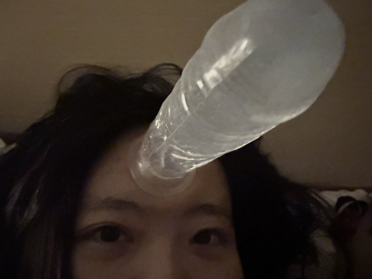 白鸽 tweet media