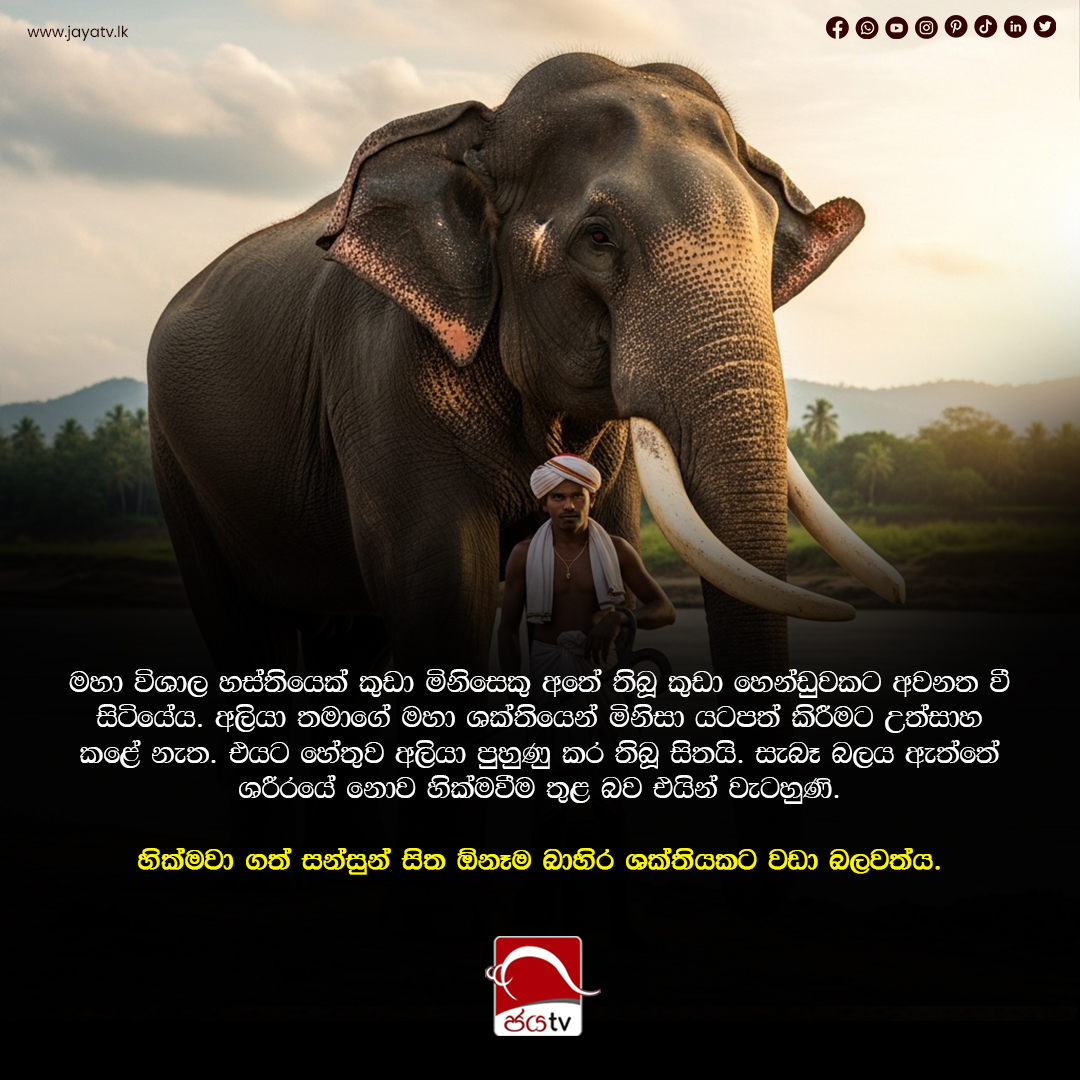 Jayatvlk's tweet image. හික්මවා ගත් මනසෙහි බලය.

அடக்கப்பட்ட மனதின் வலிமை.

The Power of a Disciplined Mind.

@JayaTV #Mindfulness #SelfControl #Wisdom