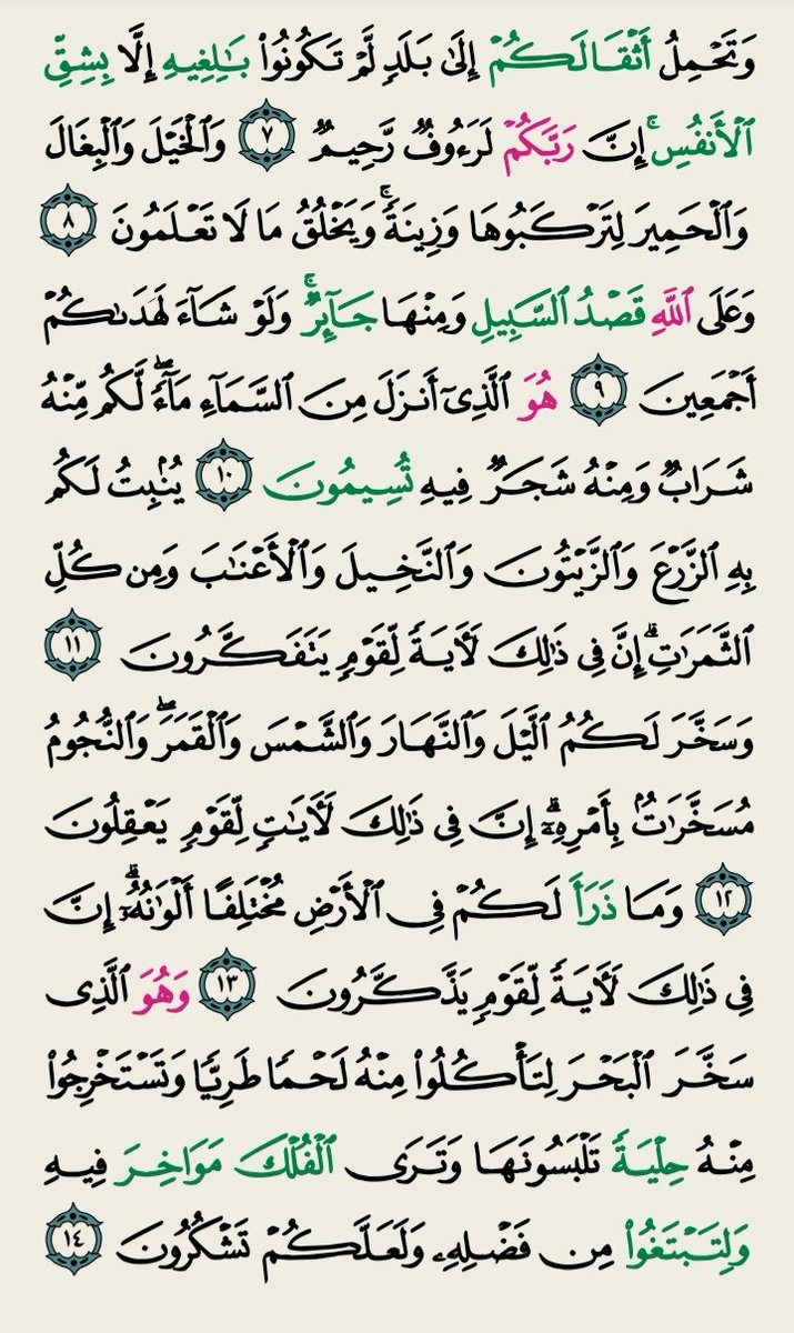 آلََمَِعٌَـتُّصٌِـمَِ بِّـآلََلََهِِ 🕋 📖 🇸🇦 🇸 tweet media