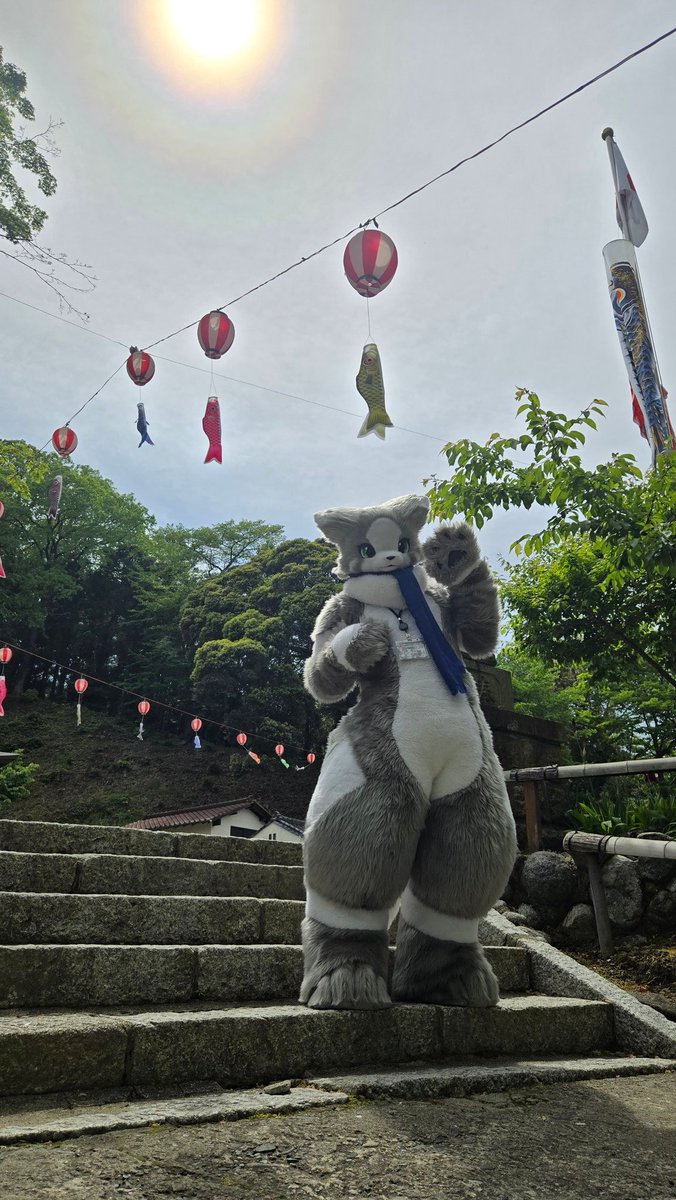  QUEST2 中古 ケモノ ゲオ公式通販サイト/ゲオオンラインストア【中古・箱説あり・付属品