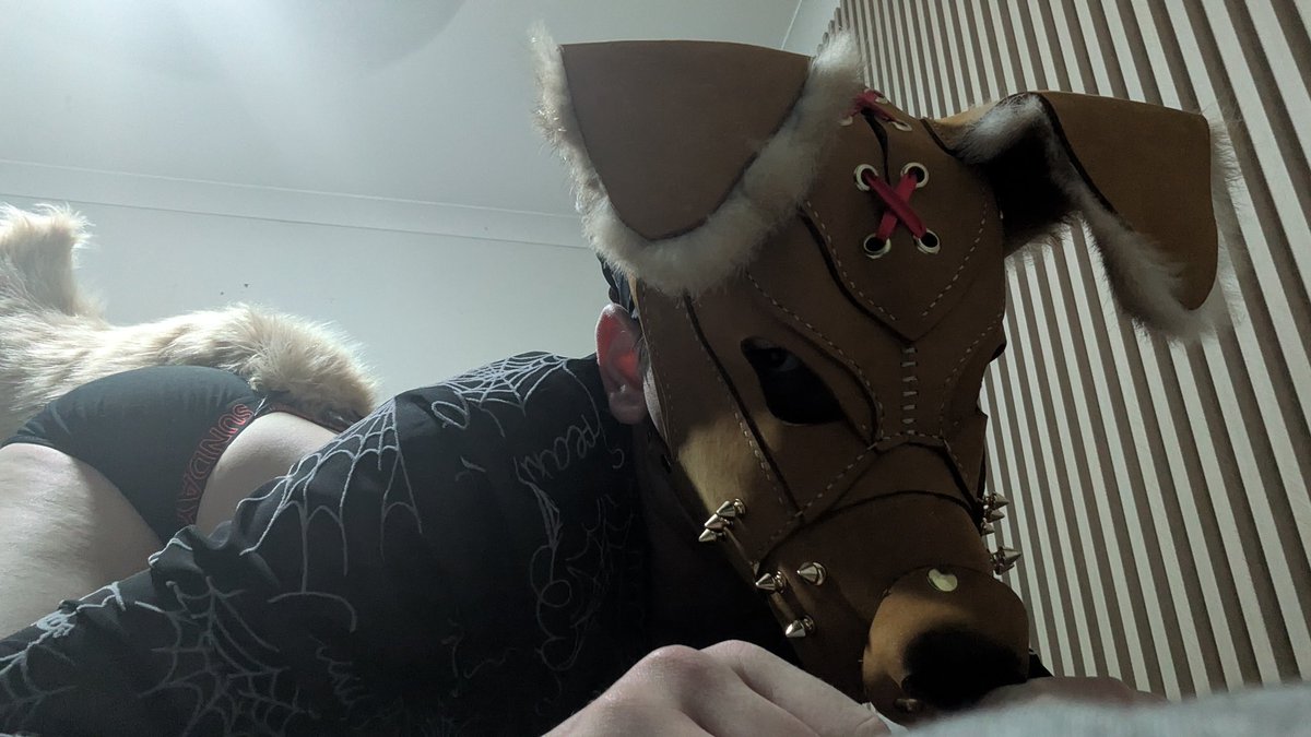 Ruff_Pupper's tweet photo. Mistress~ come...use me like the dumb mutt I am

#puppyboy #pupgear #pupmask #pupplay #petplay #femboy #submissive #sub #femdom https://t.co/L5YMzPawnM