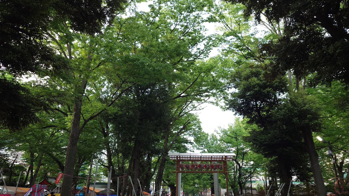 昌雪 tweet media