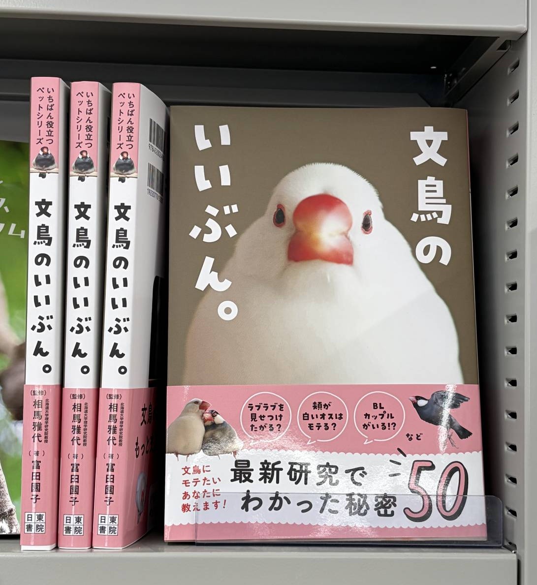 MN-676-154☆(お値下げしました)formia 白鳥ペア 文鳥のいいぶん。』 日東書院 監修 相馬雅代 著 富田園子 発売しており