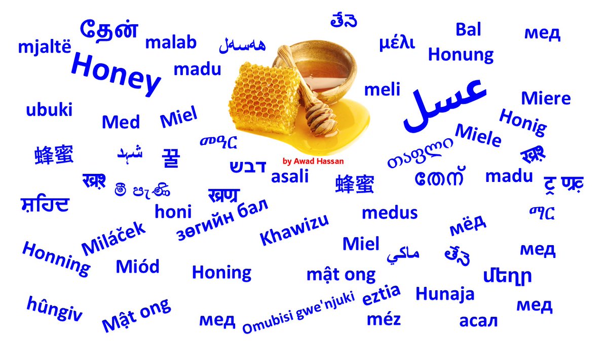 Awad_M_Awad's tweet photo. Honey in several languages 🤩👌 https://t.co/qB0U4DaW74