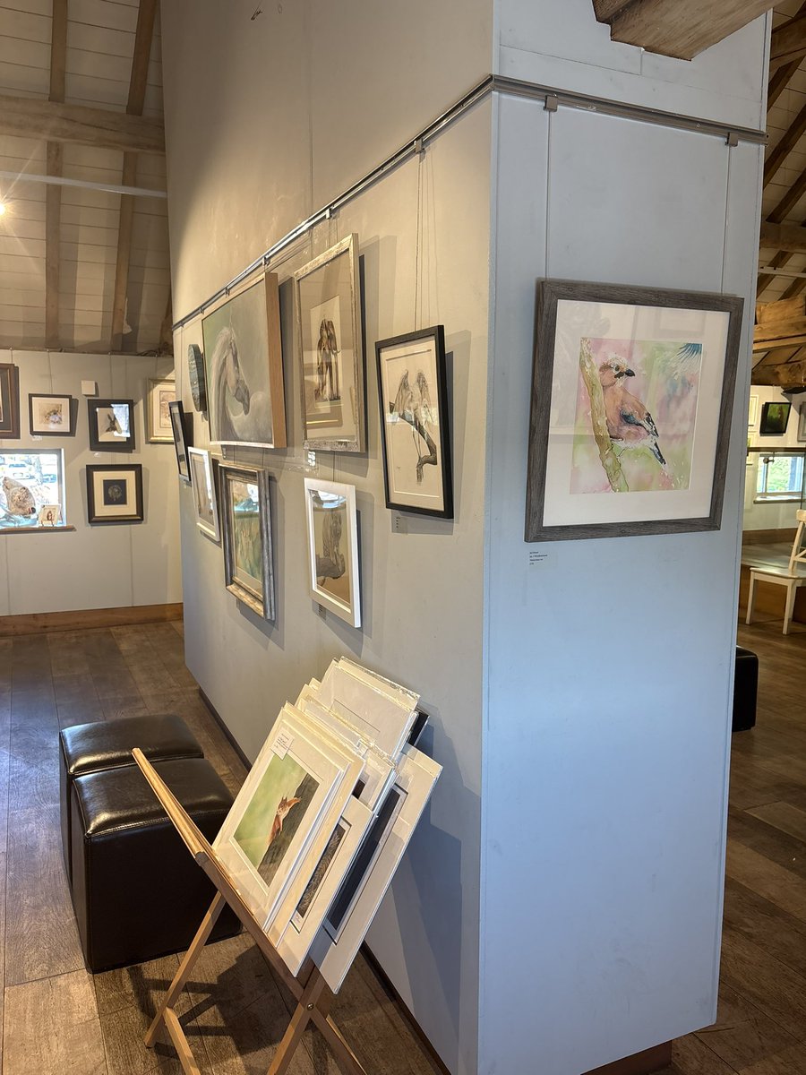 MeganArtUK's tweet photo. Here are a few photos from the @aaa_animal Spring Exhibition at Weston Park! The whole exhibition looks amazing and I’m looking forward to heading back on 23rd for a Meet the Artist day (do come and say hello!)
#springexhibition #animalart #artgallery https://t.co/v0N1nBQQdw