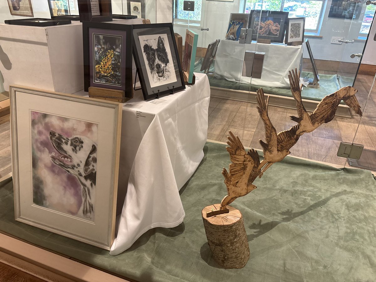 MeganArtUK's tweet photo. Here are a few photos from the @aaa_animal Spring Exhibition at Weston Park! The whole exhibition looks amazing and I’m looking forward to heading back on 23rd for a Meet the Artist day (do come and say hello!)
#springexhibition #animalart #artgallery https://t.co/v0N1nBQQdw