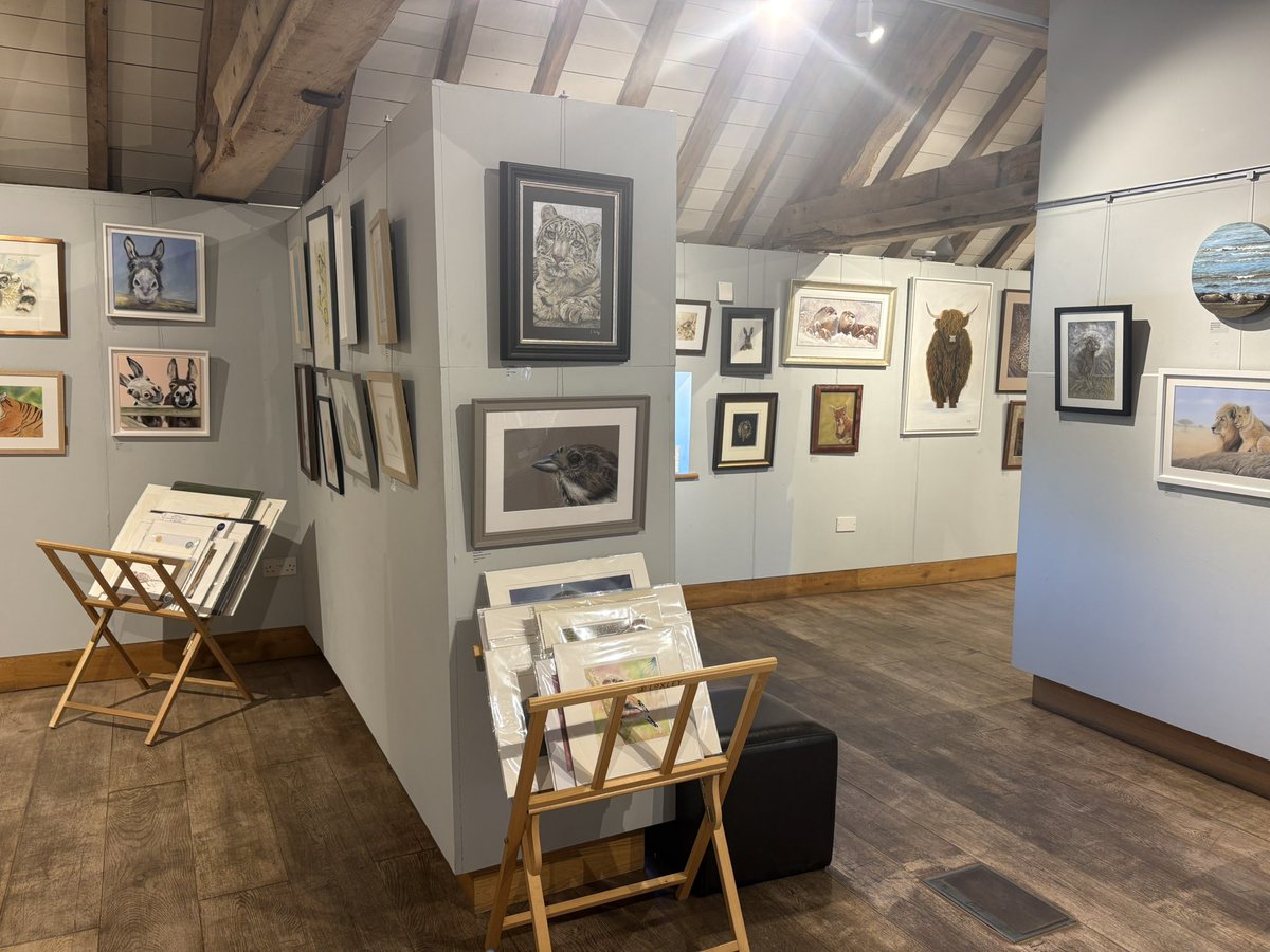 MeganArtUK's tweet photo. Here are a few photos from the @aaa_animal Spring Exhibition at Weston Park! The whole exhibition looks amazing and I’m looking forward to heading back on 23rd for a Meet the Artist day (do come and say hello!)
#springexhibition #animalart #artgallery https://t.co/v0N1nBQQdw