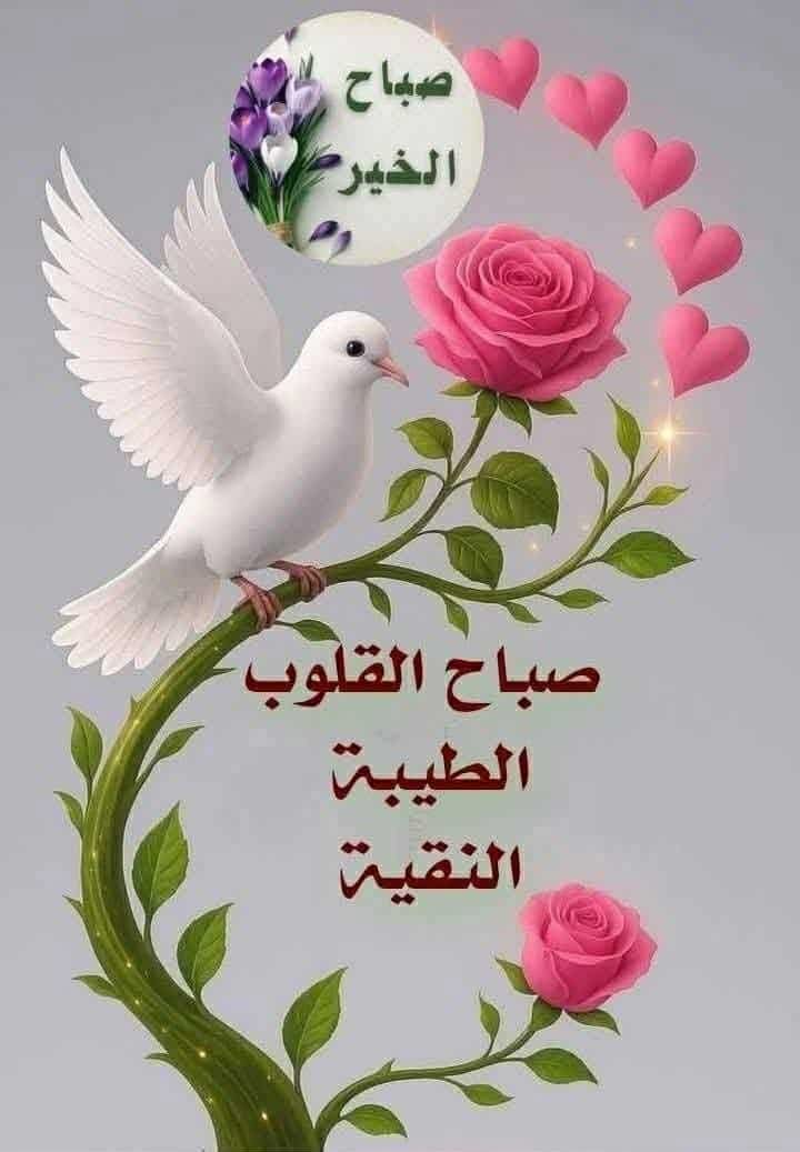 mohamadalwkil tweet media