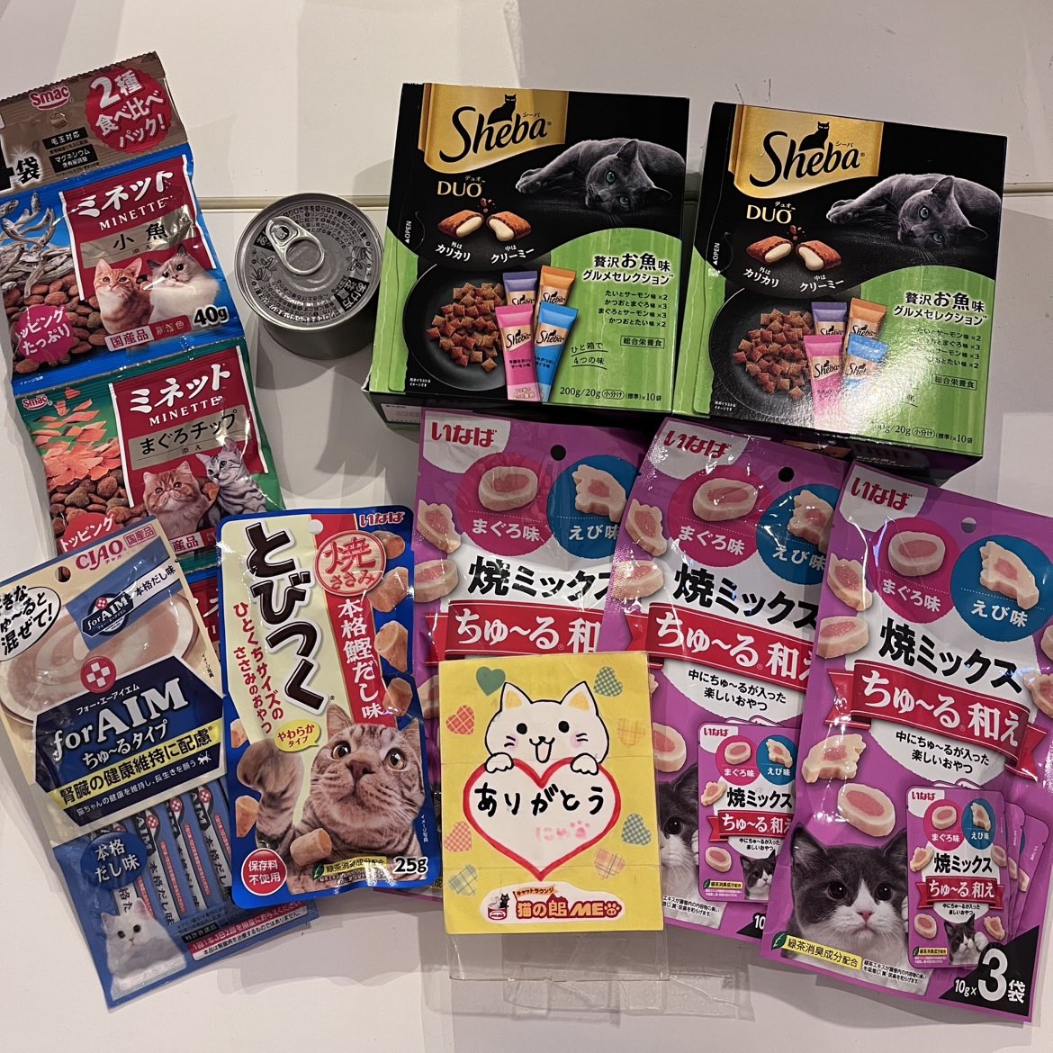 保護猫カフェ 猫の館ME◎人スタッフ tweet media
