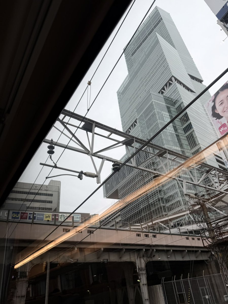 ホッティ（植田山ネコ） tweet media