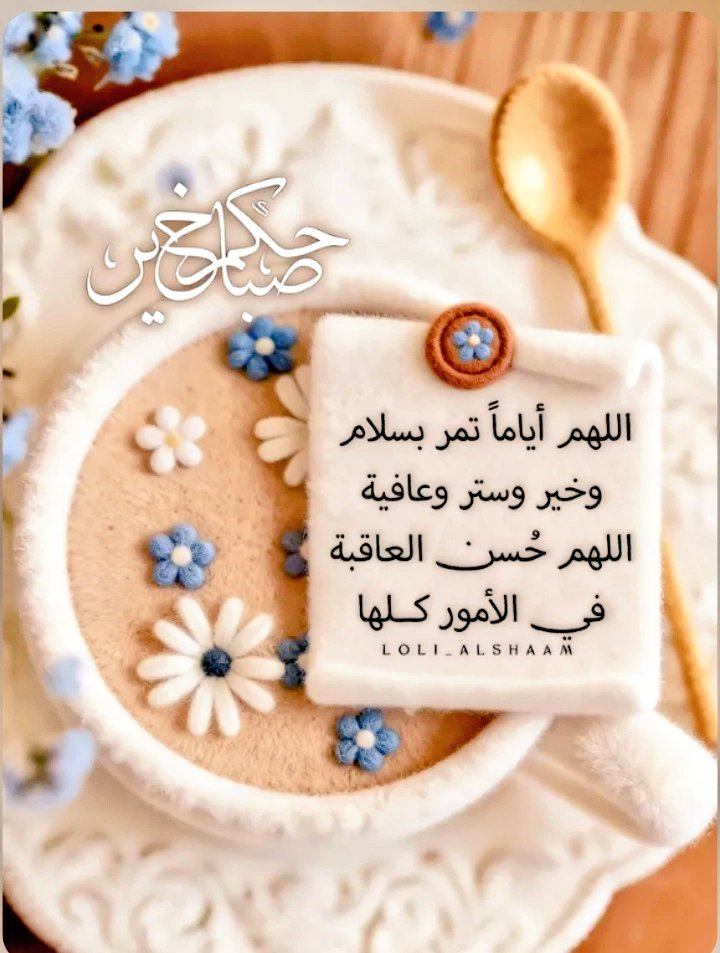 Daiana ALQaMeR 👑 tweet media