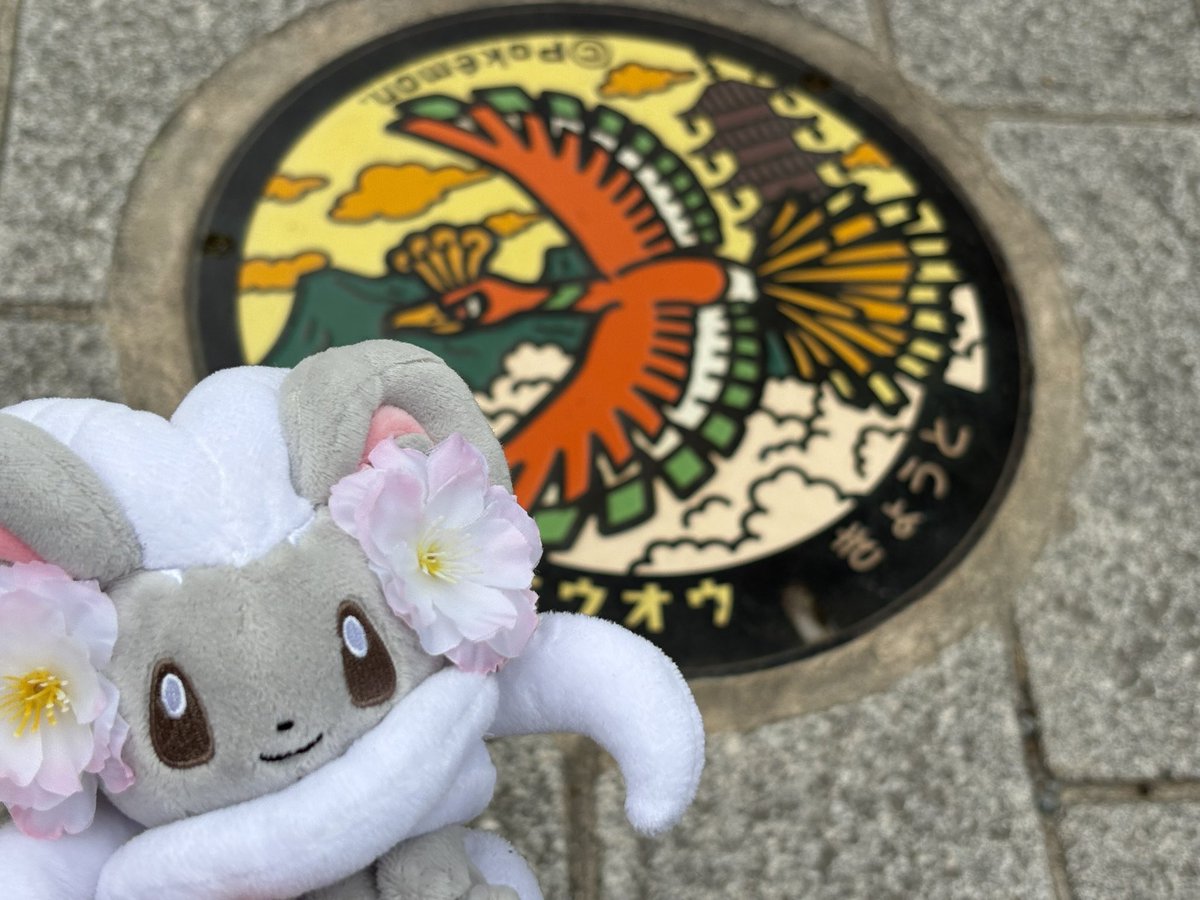 れもんぱい GOフェス5/31 tweet media