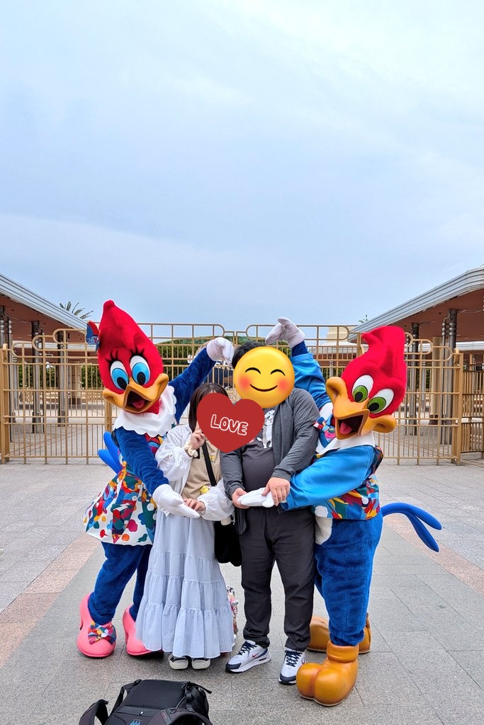 ぽけお tweet media