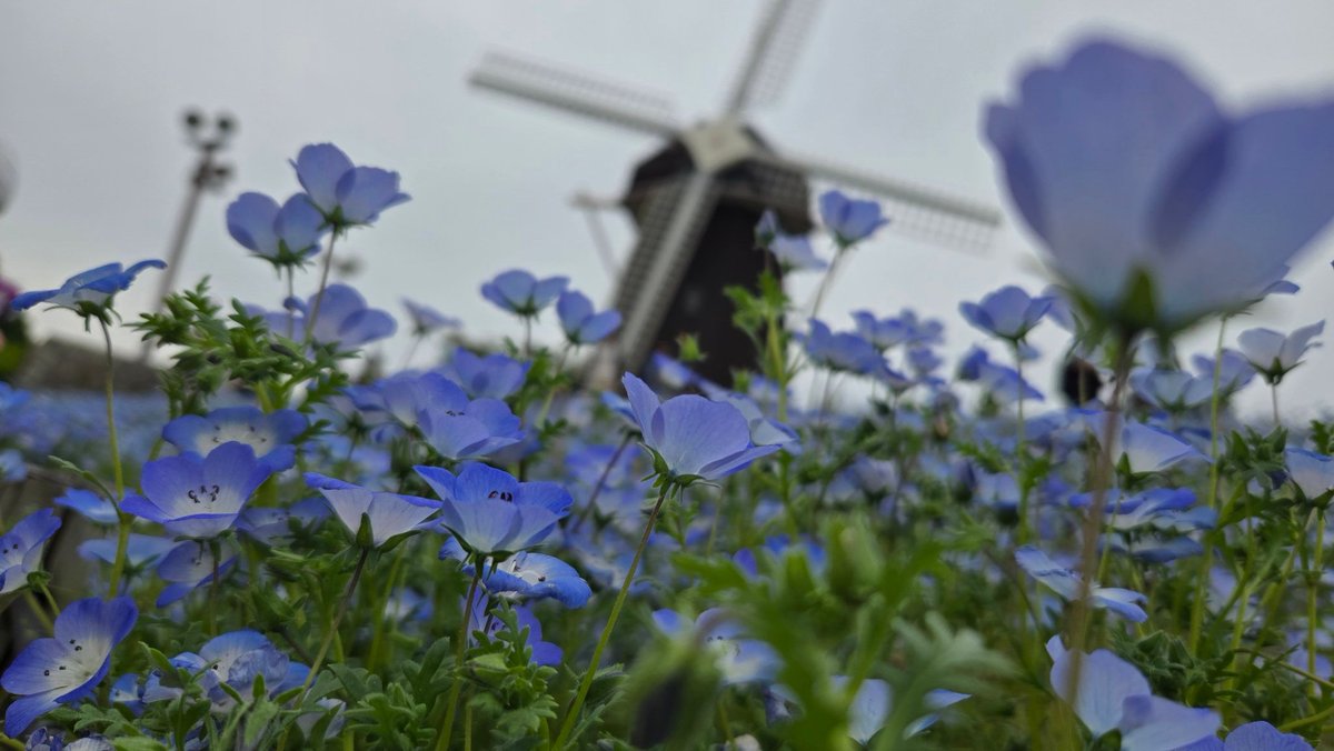 鼓 (@tsuzumi299) / Posts / X