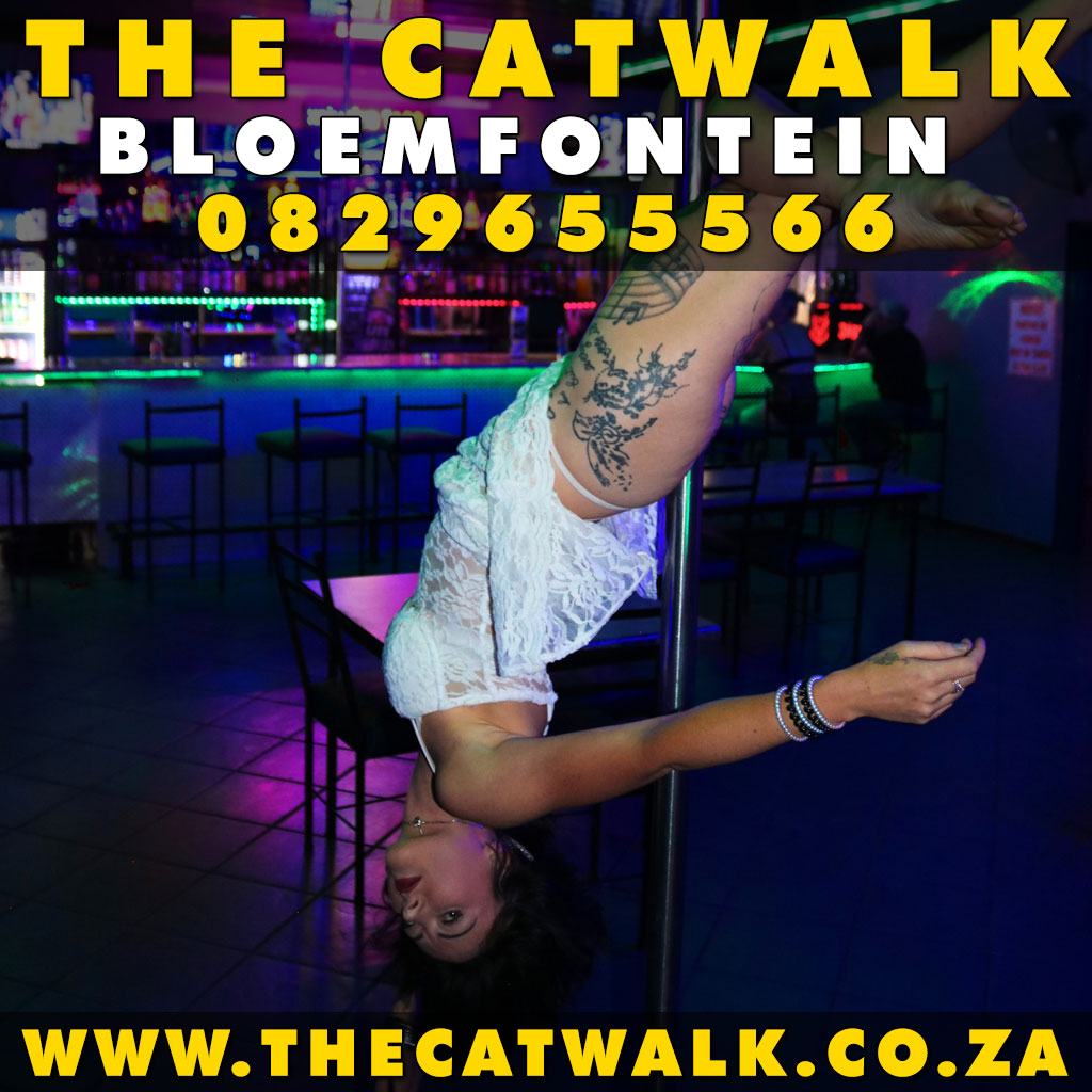 TheCatwalkBFN tweet media