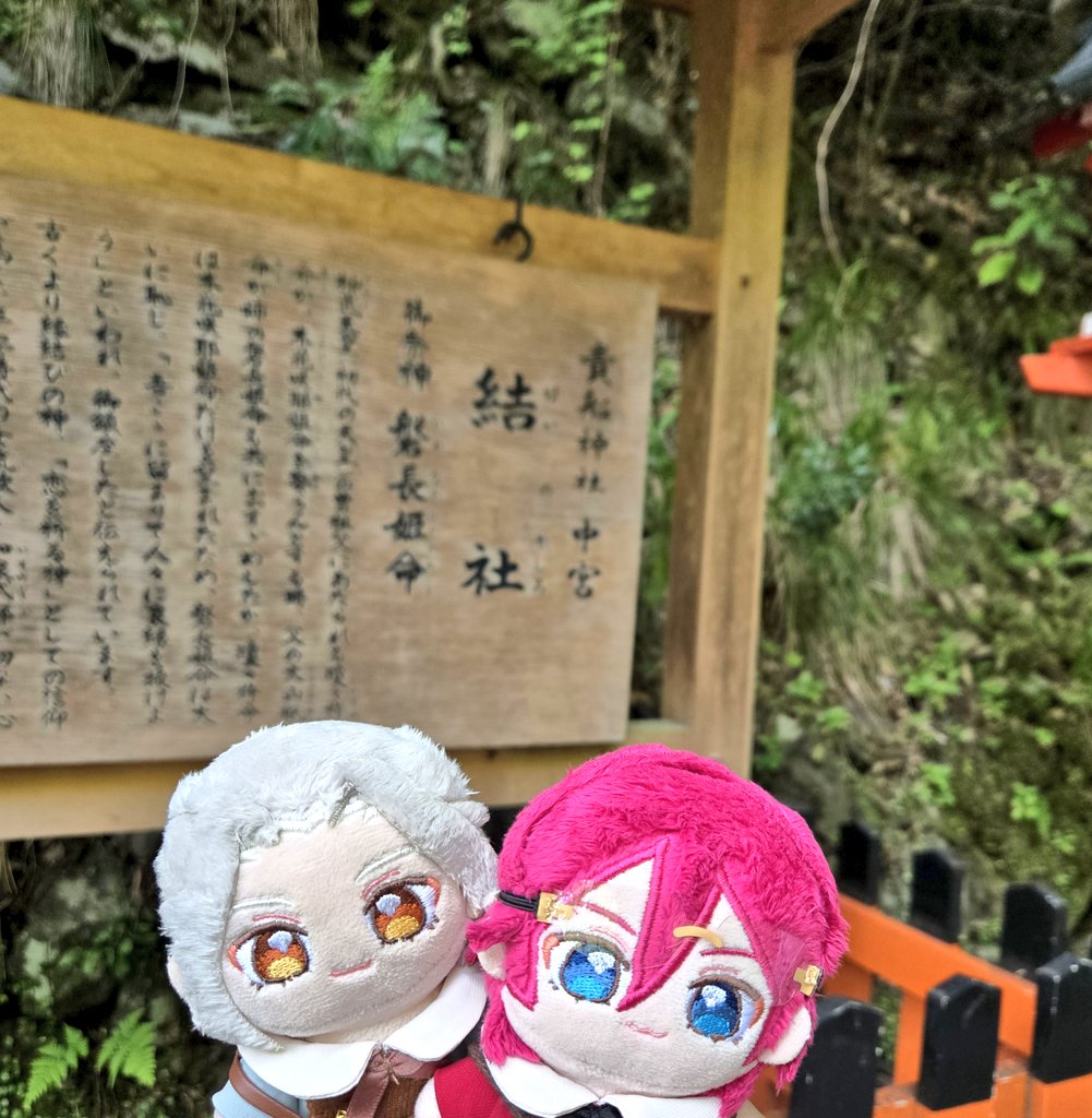 もちこ tweet media
