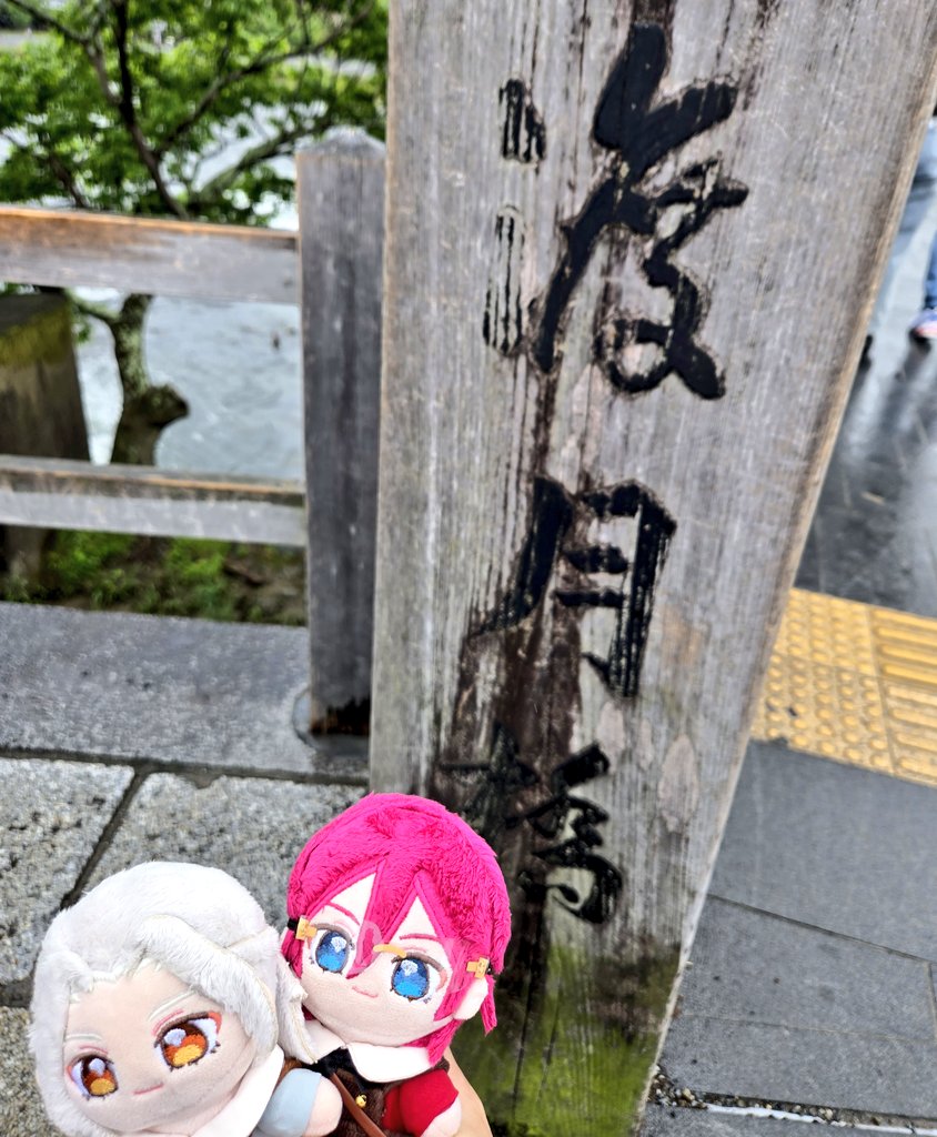 もちこ tweet media