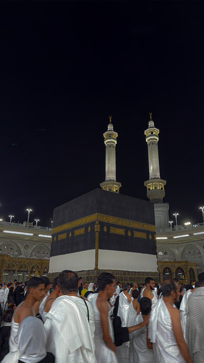 Jana Saeed tweet media