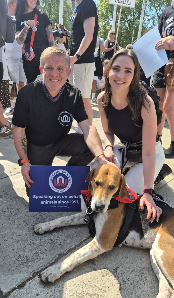 scruffycop's tweet photo. "fox hounds can't be rehomed", BS. I am told this hound was rehomed as a result of abandonment by those who hunt illegally. @ProtectTheWild_ @CharlotteS_mith what a  photogenic chap, me or the hound,MYOMU 😂 @domdyer70 @JournoJane @natalieben @arminkahelic #smokescreen #animals https://t.co/P5VVjL07rF