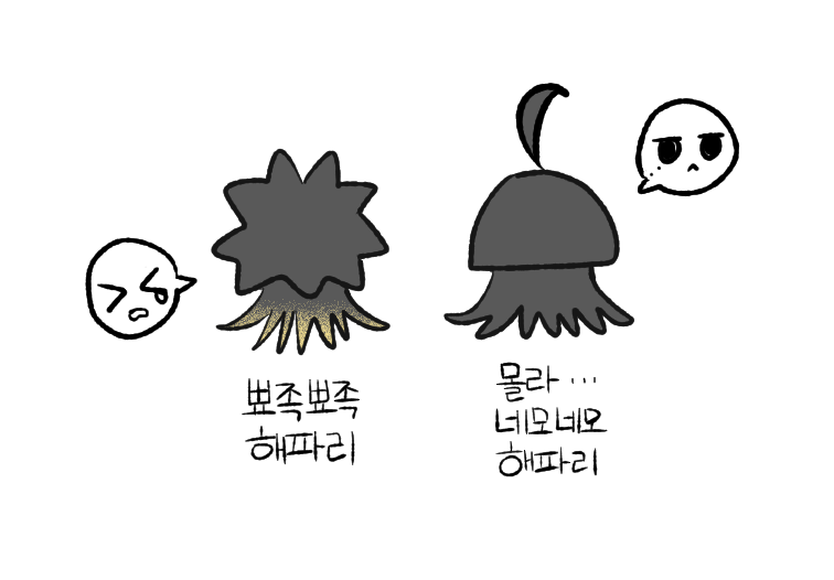 요즘 해파리가 참 좋음