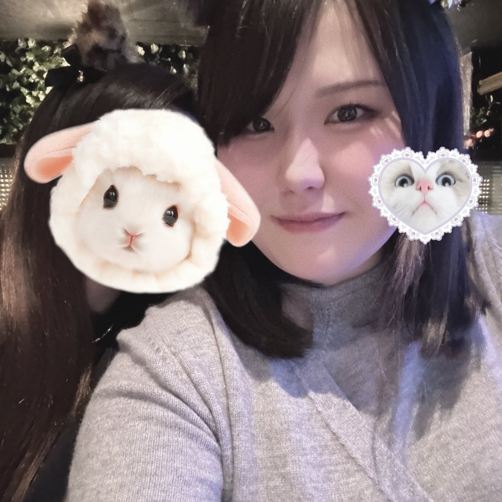 る🐈 tweet media