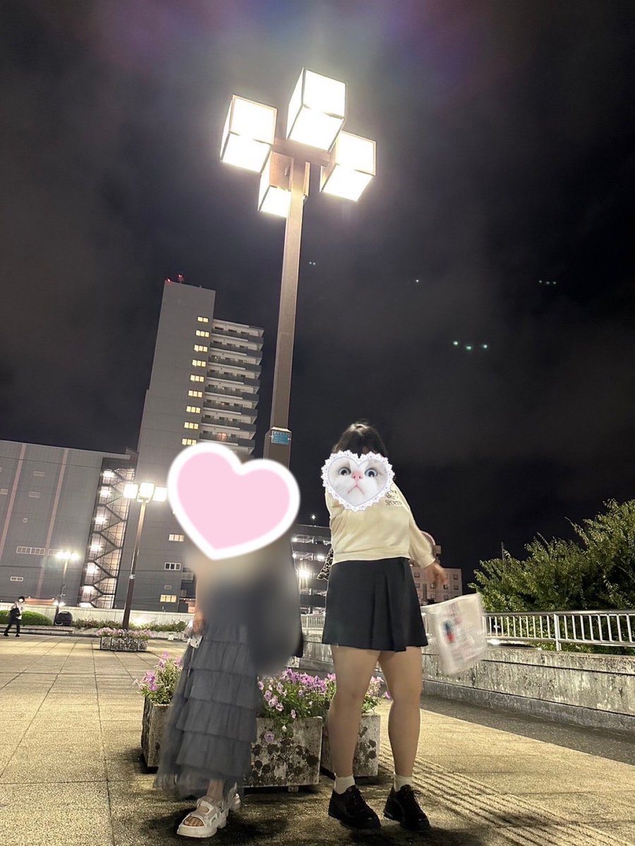 る🐈 tweet media