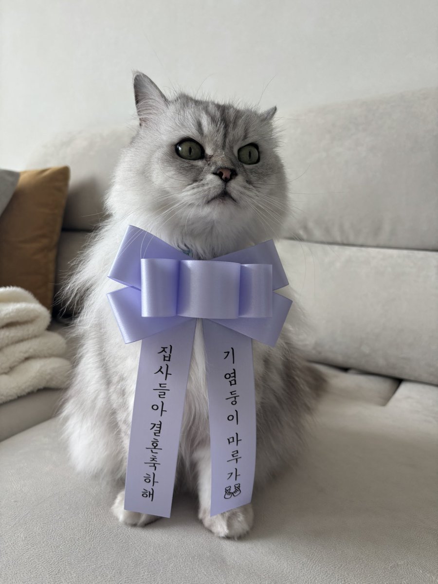 astra0121's tweet photo. 히히 기여오 https://t.co/RrV5pcFAI2
