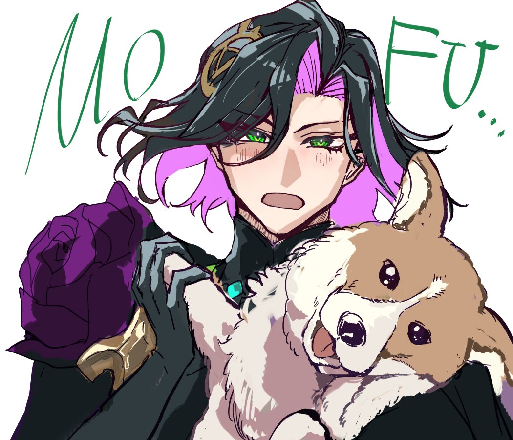 モフ