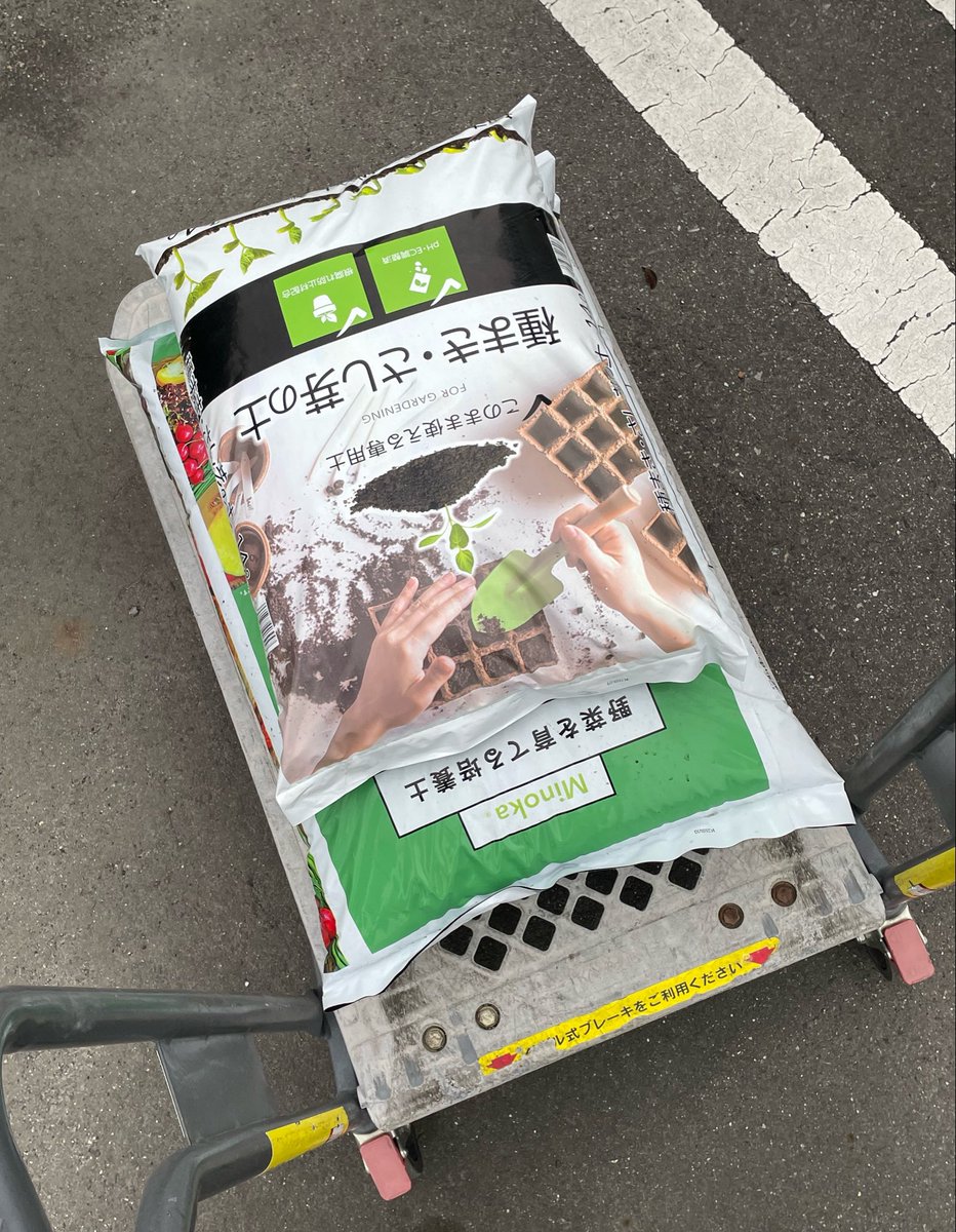 めんじょう tweet media