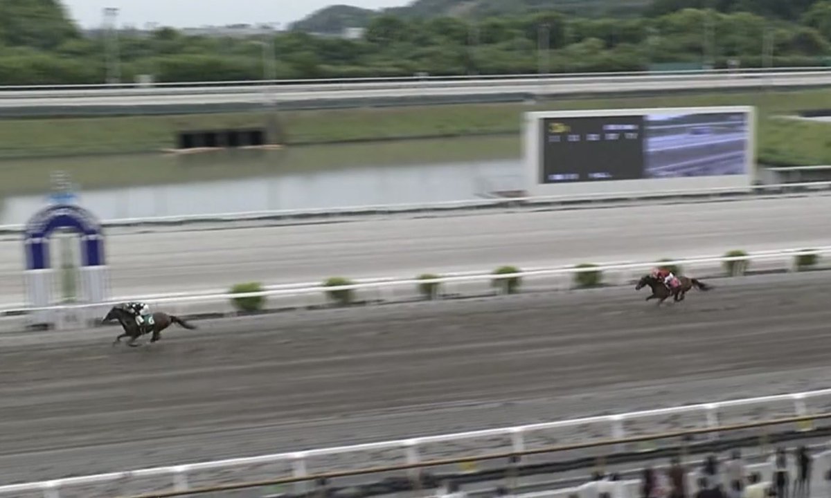 awajiforesthill's tweet image. 最後は流して７馬身差 圧勝✨

関係者の皆様 おめでとうございます🎊

5/2（土）高知３Ｒ
Ｃ３ー４（ダ1600m）
🥇#ララマルシュドロワ
馬主：吉田勝利
厩舎：打越勇児
騎手：宮川実
生産者：Randal Family Trust
※敬称略

#Collected #打越厩舎 #宮川騎手 #競馬 #フォレストヒル