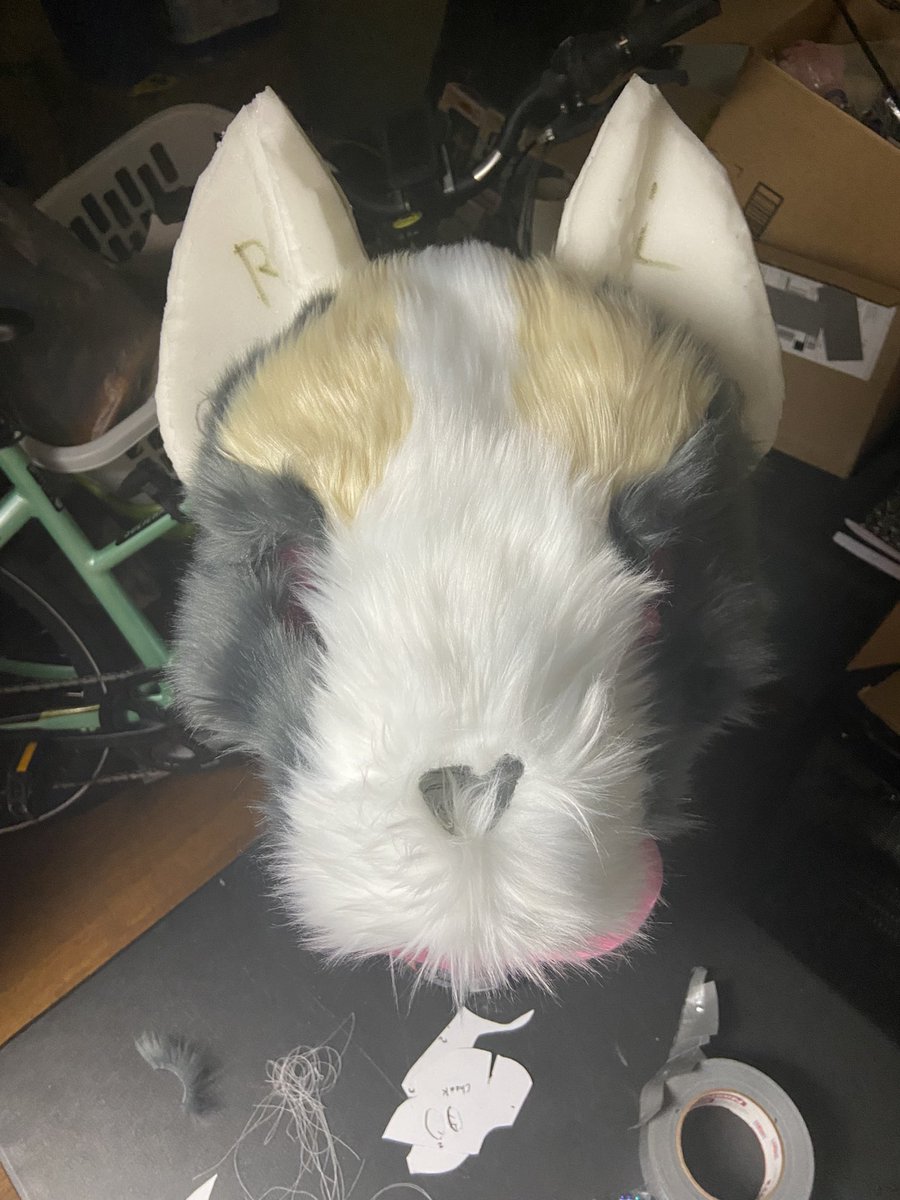 ZoeyPawzAD🔜FWA tweet media