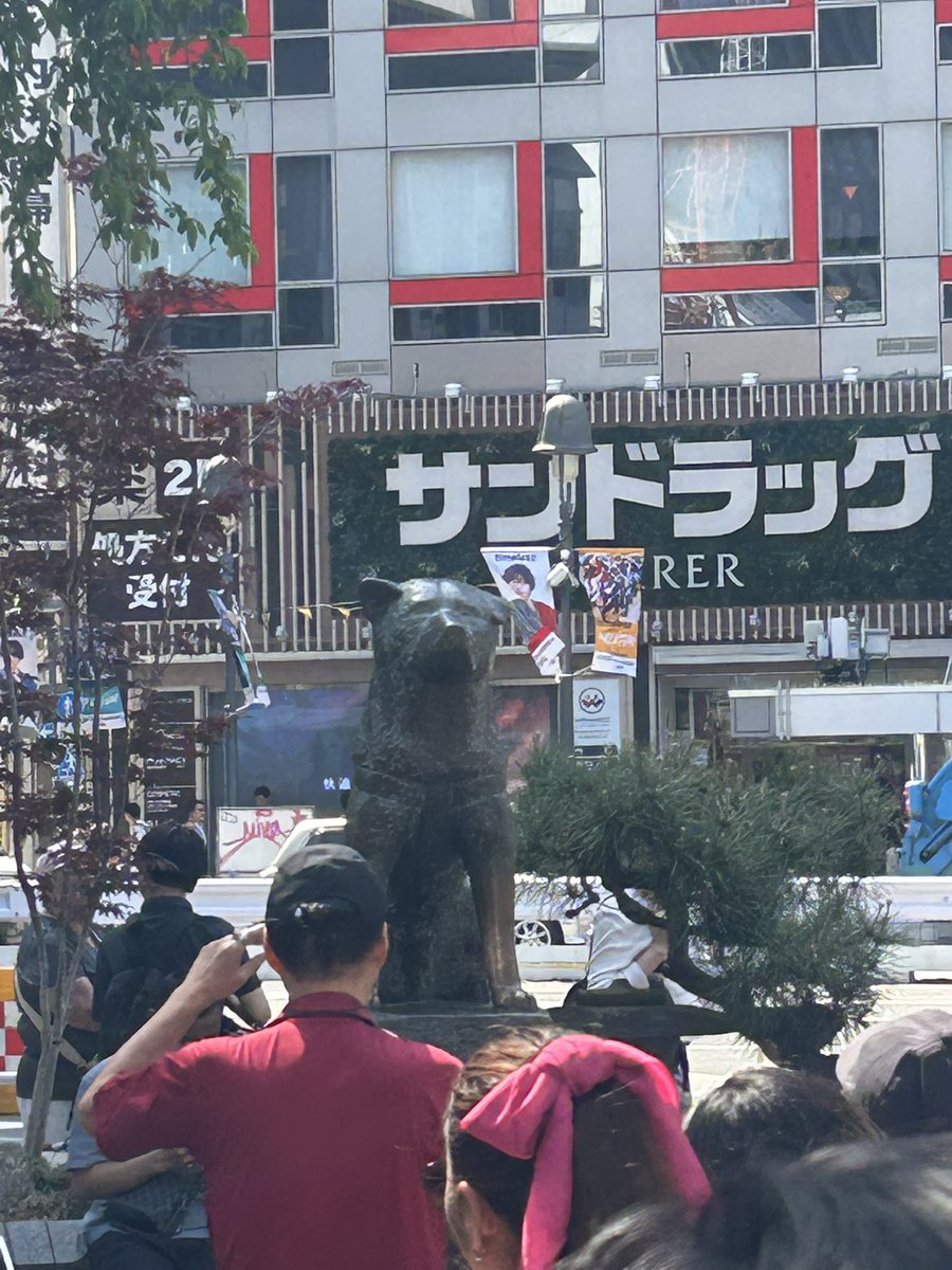 忠犬ハチ公見れた。
思ったより本物だった。